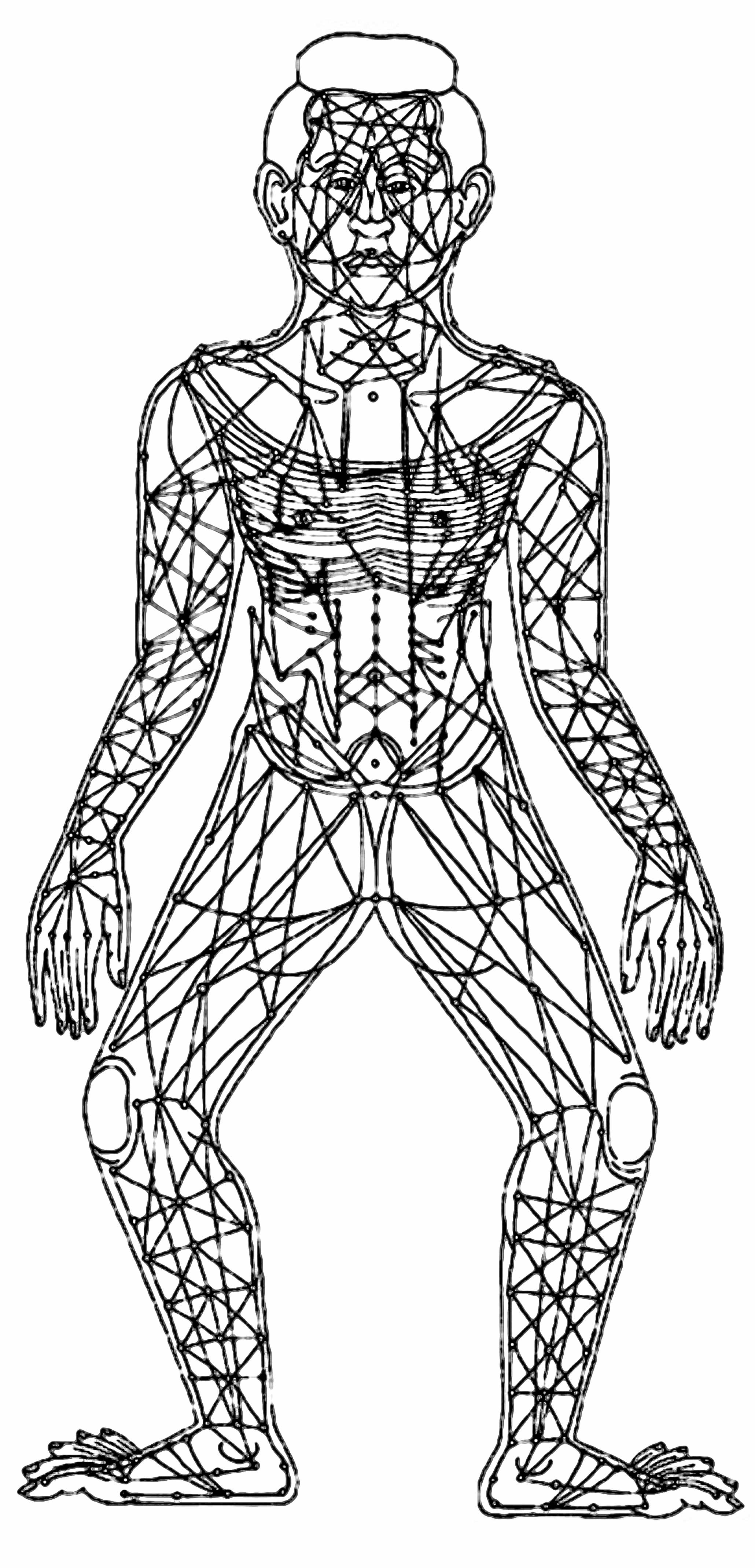 Sen lines